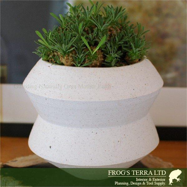 Pure Pot C7329 直径cm H18cm 底穴なし 陶器製 プランター サボテン 多肉 寄植 観葉鉢 C7329 カエルの庭や 通販 Yahoo ショッピング