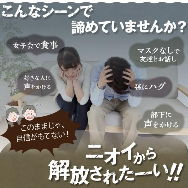 口臭予防 口臭対策 サプリ シャンピニオン なた豆 ポリグルタミン酸 レモンミント味 粘つき タブレット Frepure フレピュア 1袋30粒入り 2袋セット 公式 Buyee 日本代购平台 产品购物网站大全 Buyee一站式代购 Bot Online