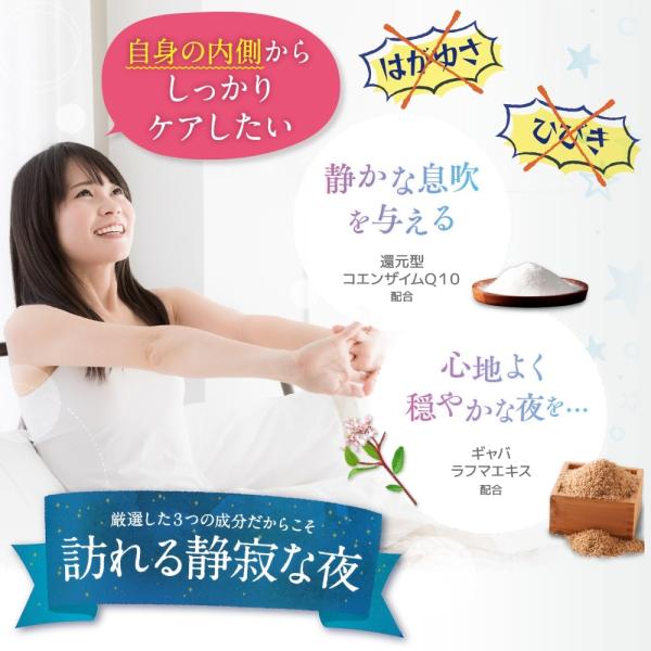 いびき 歯ぎしり 対策 寝息 ケア ナイト サプリメント 還元型コエンザイムq10 えごま油 ビタミン 配合 いぶきの実 1袋60粒入り 公式 Buyee Buyee Japanese Proxy Service Buy From Japan Bot Online