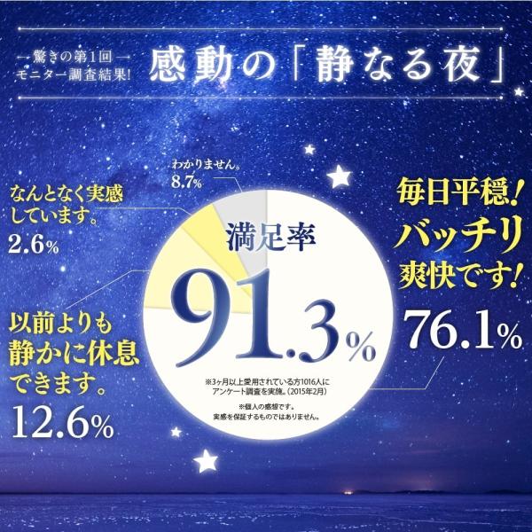いびき 歯ぎしり 対策 寝息 ケア ナイト サプリメント 還元型コエンザイムq10 えごま油 ビタミン 配合 いぶきの実 1袋60粒入り 公式 Buyee Buyee Japanese Proxy Service Buy From Japan Bot Online