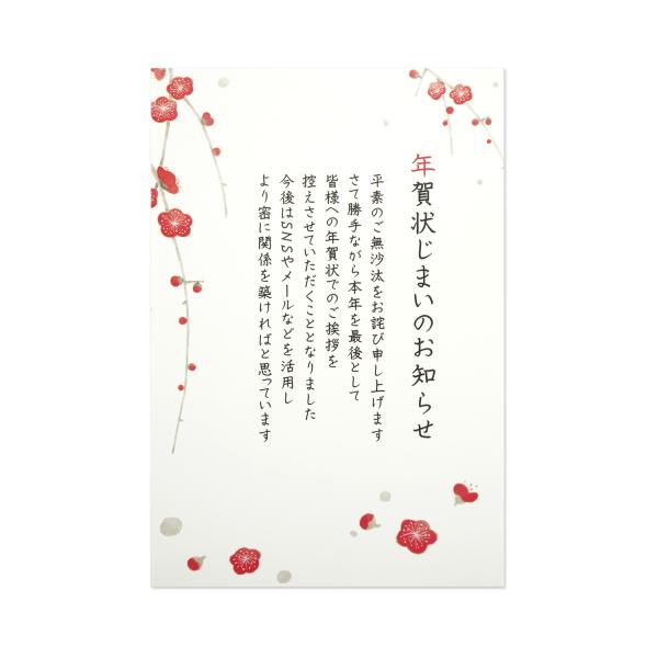 【仕様】●内容：3枚入り●サイズ：H148mm x W100mm「年賀じまいはがき」は、これまで年賀状のやり取りをしていた相手に対し、今後の年賀状の送付を辞退する旨を伝える挨拶状です。来年もご使用いただけるデザインです。同デザイン3枚入り。...