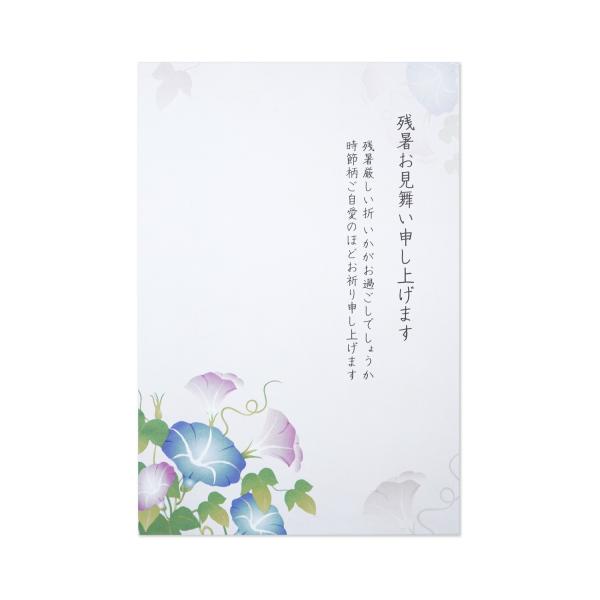 残暑お見舞い　朝顔のころ｜npc-327
