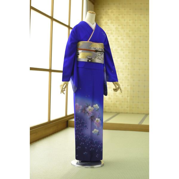 夏用 単衣 訪問着レンタル 身長156cm〜171cm位 訪問着 レンタル 単衣 夏 着物レンタル 結婚式 お茶会 お宮参り 女性 母親 母 ママ 貸衣装 夏用訪問着レンタル