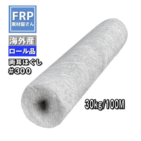 frp_sgmwg00300