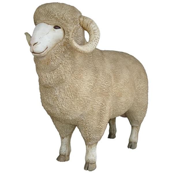 eЂ̗D FRPAj}IuWF [