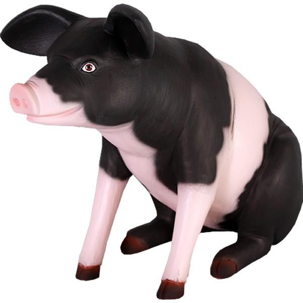 䂩ȓ؂ijP&amp;B FRPAj}IuWF [