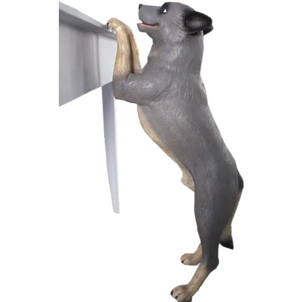 ]Ȍ FRPAj}IuWF
