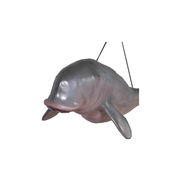 WSE݂艺^Cv FRPAj}IuWF