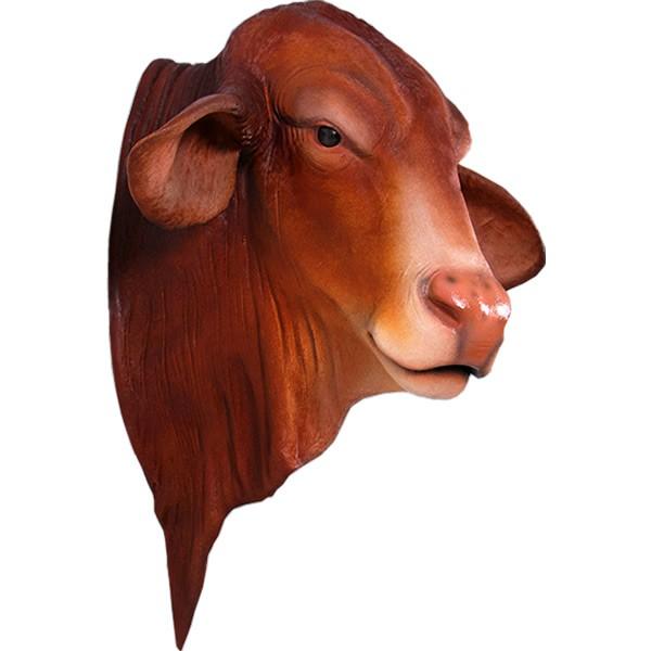 htg}X^[Y̓EǊ| FRPAj}IuWF