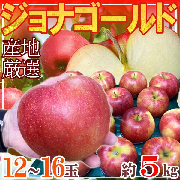 産地厳選ジョナゴールド　12〜16玉　約5kg クール便発送 産地厳選ジョナゴールド 12〜16玉 約5kg クール便発送 : ふる