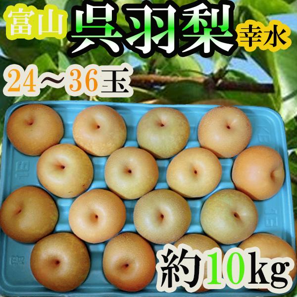富山県産　呉羽梨　幸水　24〜36玉　約10キロ 富山県産 呉羽梨 幸水 24〜36玉 約10kg クール便発送 : ふる