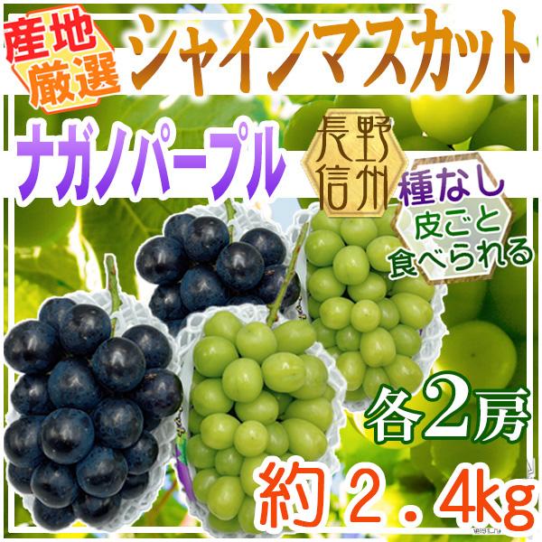 産地厳選シャインマスカット＆ナガノパープル　各2房　総重量約2.4kg　※クール便発送