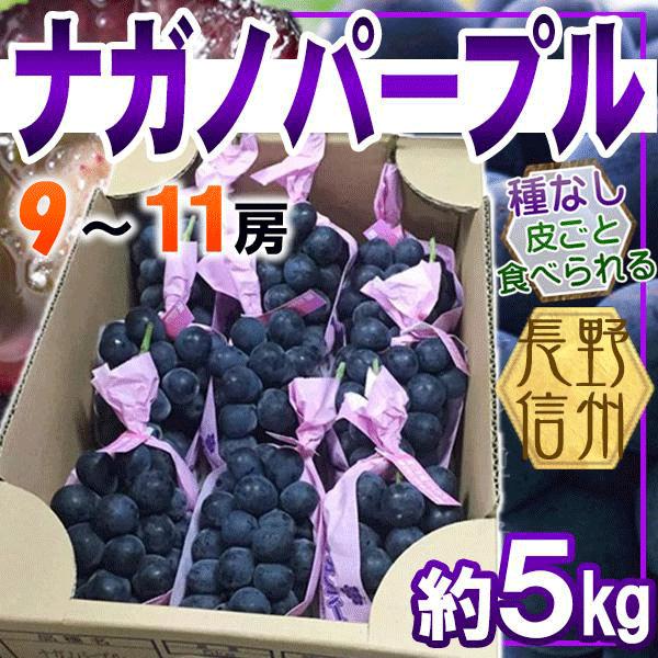 長野県産　ナガノパープル　9-11房　約5kg　クール便発送