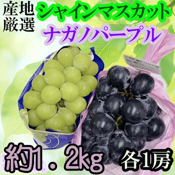 産地厳選シャインマスカット＆ナガノパープル　各1房　総重量約1.2kg　クール便発送