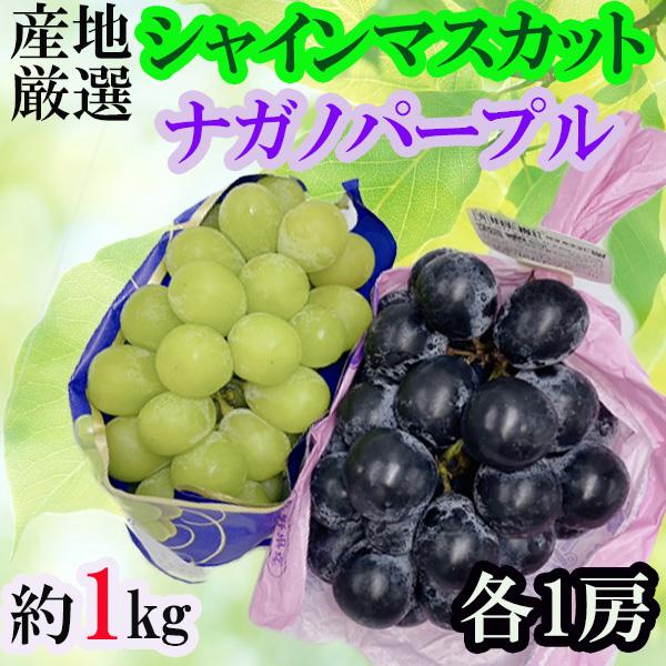 産地厳選シャインマスカット＆ナガノパープル　各1房　総重量約1kg　クール便発送