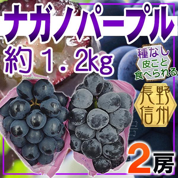 長野県産　ナガノパープル　2房　総重量約1.2kg　クール便発送
