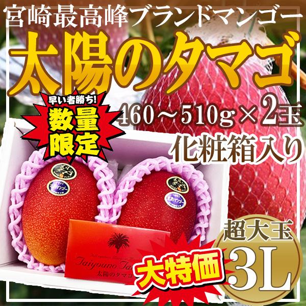 宮崎県産　太陽のタマゴ　3L　1箱2玉入り　化粧箱入り　クール便発送 数量限定大特価！！ 宮崎県産 太陽のタマゴ 3L 1箱2玉入り 化粧