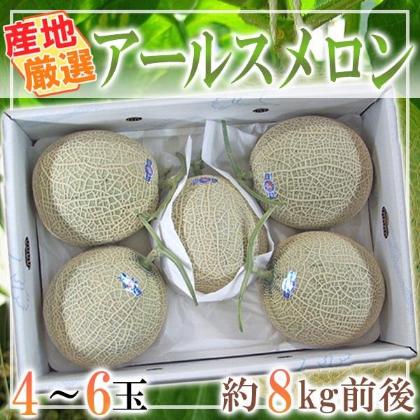 産地厳選　アールスメロン　4〜6玉入り　約8kg前後 ※クール便発送 産地厳選 アールスメロン 4〜6玉入り 約8kg前後 ※クール便発送