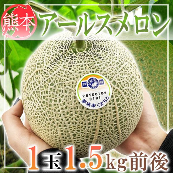 熊本県産　アールスメロン　1玉約1.5kg前後 熊本県産 アールスメロン 1玉約1.5kg前後 : ふるふぁみストア