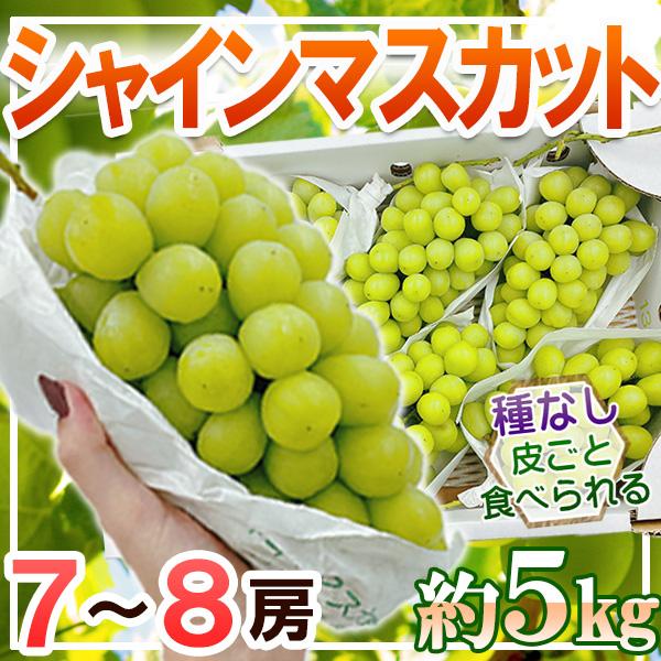 産地厳選　シャインマスカット　7〜8房　約5kg　クール便発送