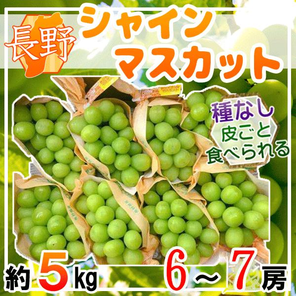 長野県産 シャインマスカット 6〜7房 約5kg : muscat54 : ふるふぁみ  