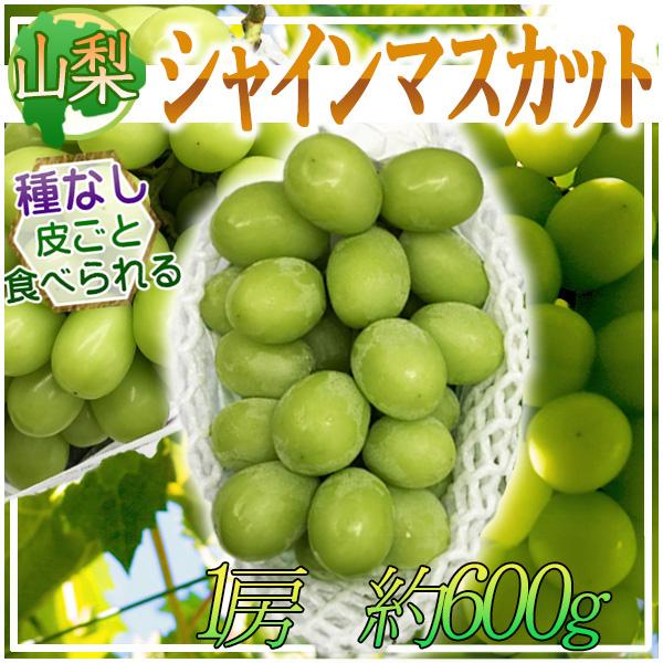 山梨県産　シャインマスカット　2房　1房約500ｇ　クール便発送 山梨県産 シャインマスカット 1房 約600g ※クール便発送 : ふる