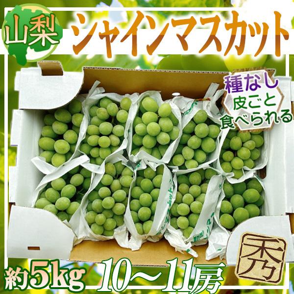 山梨県産ぶどう　シャインマスカット　11房入り箱込み約5.2kg 山梨県産ぶどう シャインマスカット 11房入り箱込み約4.4kg