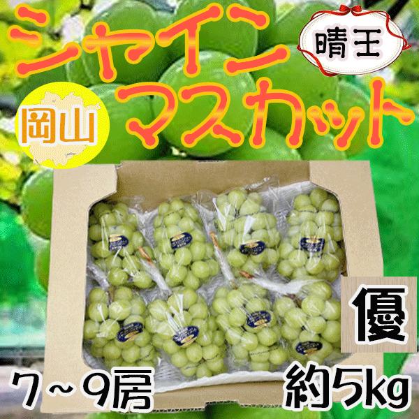 岡山県産　シャインマスカット　晴王　6〜7房　約5kg　優品　クール便発送 岡山県産 シャインマスカット 晴王 7〜9房 約5kg 優品 クール便
