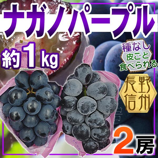 長野県産　ナガノパープル　2房　約1kg　クール便発送