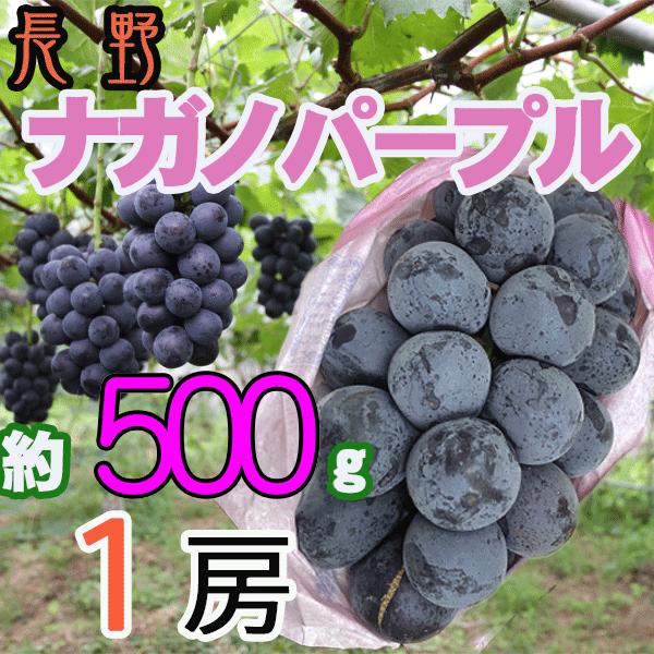 長野県産　ナガノパープル　1房　約500g　クール便発送