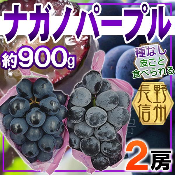 長野県産 ナガノパープル 2房 総重量約900g クール便発送 : ふる