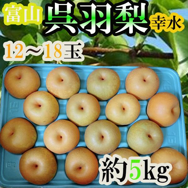 富山県産　呉羽梨　幸水　12〜18玉　約5kg　クール便発送