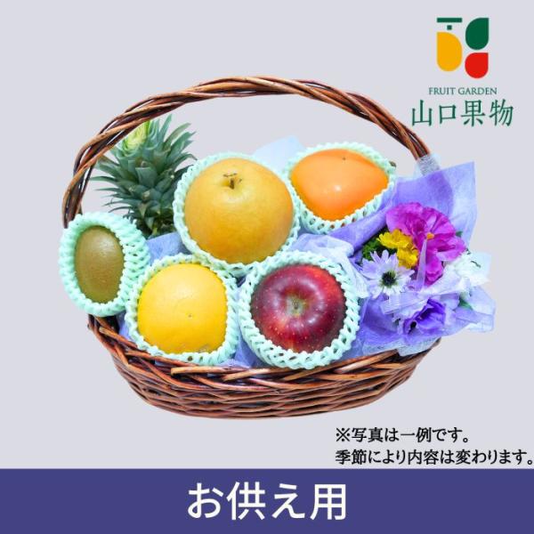 fruit-garden_1008010012