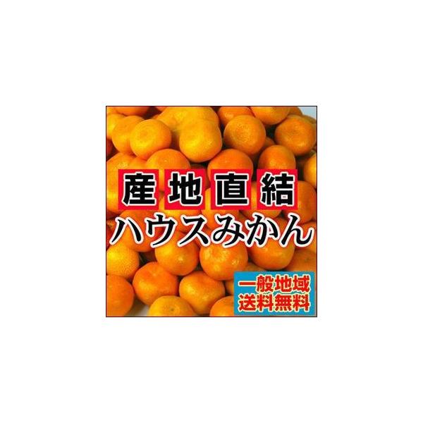 絶品！夏こそハウスみかん愛媛産 訳ありハウスみかん5kg【送料