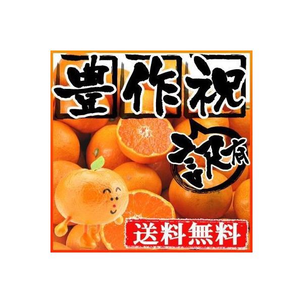 愛媛産 温州みかん10kg 送料無料 訳あり　大玉が多いですが、中には小玉、中玉も混ざります。 ご家庭用 産地直送 みかん 柑橘類