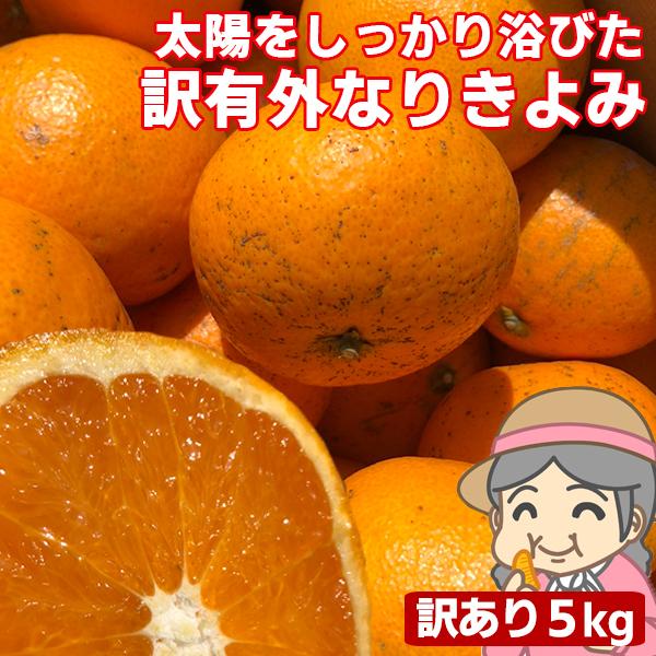 愛媛産 ご家庭用 農家さんもぐもぐ 外なり訳ありきよみ 5kg(+約0.5kg多め) 清見オレンジ ...