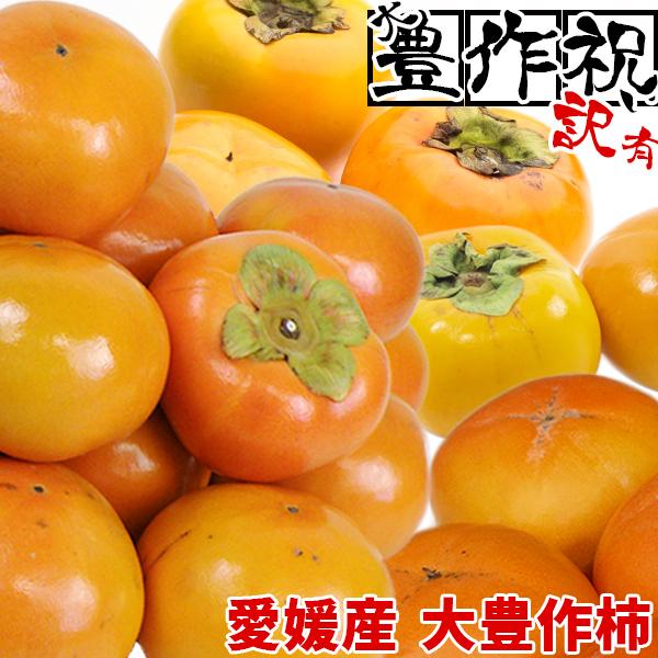今だけ1kg増量合計5kg 愛媛産 大豊作訳あり柿 4kg 品種おまかせ【送料無料】 フルーツ 果物 くだもの わけあり 食品 ワケあり 産地直送 :kaki-om-wi5k:フルーツショップサニー - 通販 - Yahoo!ショッピング 今だけ1kg増量合計5kg 愛媛産 大豊作訳あり柿 4kg 品種おまかせ【送料無料】 フルーツ 果物 くだもの わけあり 食品 ワケあり 産地直送 :kaki-om-wi5k:フルーツショップサニー - 通販 - Yahoo!ショッピング