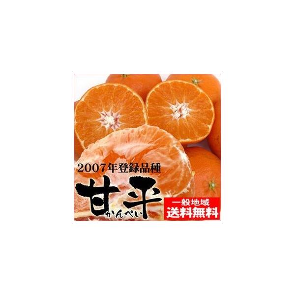 愛媛産 甘平（かんぺい）2kg 訳あり・不揃い 送料無料 愛媛県産 フルーツ 果物 くだもの おやつ...