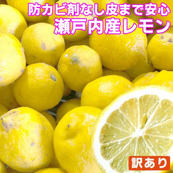 瀬戸内産 国産レモン 1kg 訳あり クール便送料無料 檸檬 防腐剤 防かび剤不使用 フルーツ 果物 くだもの 柑橘類 Lemon W1k 1 フルーツショップサニー 通販 Yahoo ショッピング