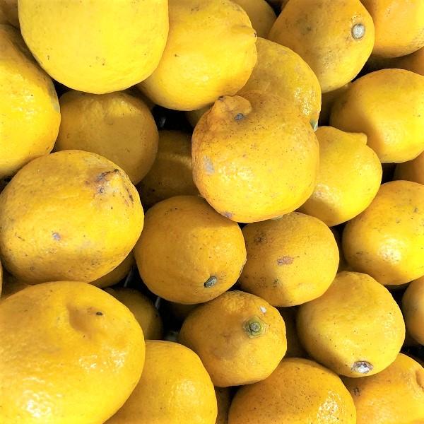 [Release date: August 1, 2006]大変希少な”国産レモン”防カビ剤不使用で安心！・内容量→2kg 20個前後・配送方法→佐川・ゆうパック（常温便）・北海道・東北・沖縄・離島は別途送料を申し受けます。