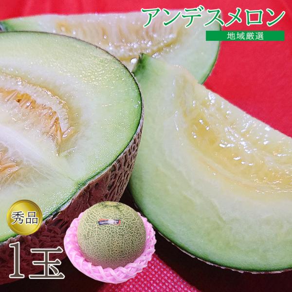 送料無料 アンデスメロン 秀品 1玉 約 800g~1000g アンデス 産地