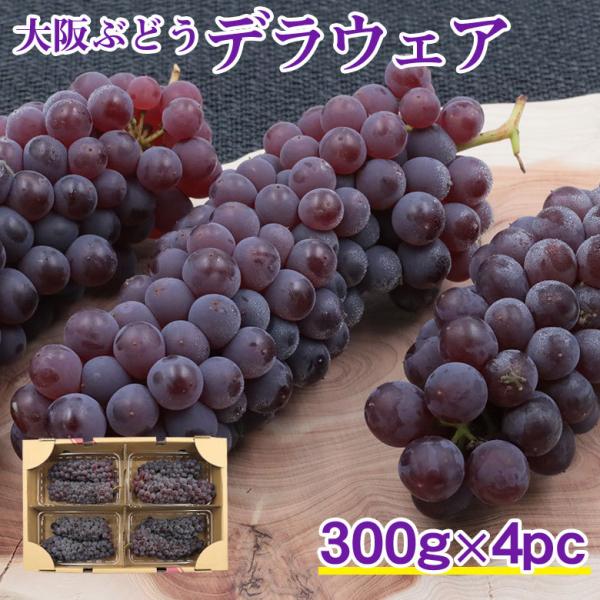 送料無料 デラウェア 約1.2kg 300g×4pc ご家庭用ご家庭用 ブドウ ぶどう ギフト お中元 暑中見舞い ギフト プレゼント :derawea-4pc:くだもの観覧車 通販 ⑫ふくしずく 種無しぶどう 山梨県産