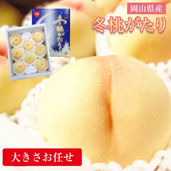 送料無料 秀品 冬桃がたり 岡山 岡山白桃 岡山県産 桃 白桃 5〜9玉