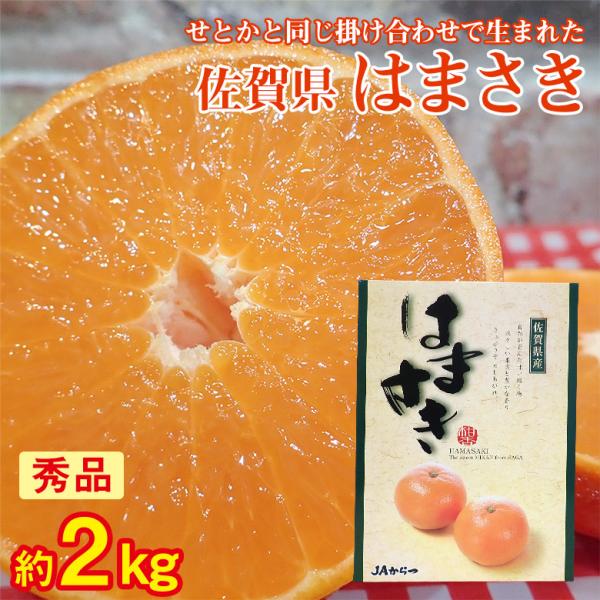 fruit27_hamasaki-g-2500 fruit27_hamasaki-g-2500
