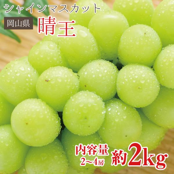 送料無料 シャインマスカット 晴王 岡山県 シャンマスカット 約 2kg 2〜4房 岡山 ご家庭用 マスカット ぶどう ギフト お中元 暑中見舞い  :hareou-2kg:くだもの観覧車 通販 