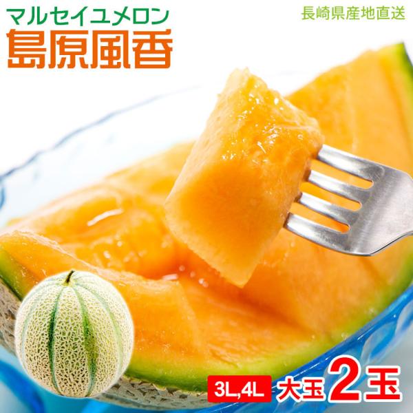 fruit27_marseille-3l4l-2