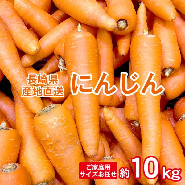 ■商品名：にんじん■内容量・サイズ：ご家庭用 サイズお任せ 約10kg■保存方法・賞味期限：常温、商品到着後早めにお召し上がりください。■生産地：長崎県■販売期間：3月末頃まで■販売者：株式会社GIANTKILLING ■クール便：非対応■...