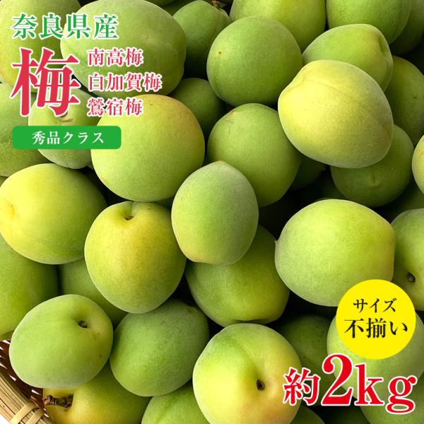 ■商品名：秀品 南高梅 白加賀梅 鶯宿梅■内容量・サイズ：サイズ不揃い 約 2kg■保存方法・賞味期限：常温、商品到着後早めにお召し上がりください。■生産地：奈良県■販売者：株式会社GIANTKILLING ■クール便：非対応■商品説明今回...