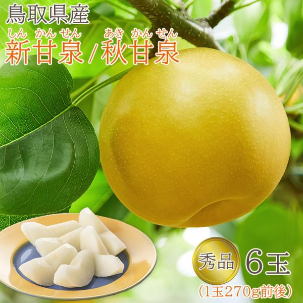 送料無料 鳥取県産 新甘泉 しんかんせん 秋甘泉 梨 5玉 (1玉270g〜320g) 秀品 鳥取 鳥取県 梨 赤梨 20世紀梨 筑水 なし ナシ ギフト 秀品 贈答用 :sinkansen-6:くだもの観覧車 通販 お買い得♪ 高知産 梨 幸水梨 5~8玉入り 約2kg