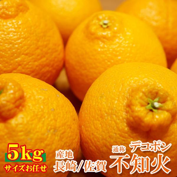 送料無料 長崎県 長崎県産 不知火 デコポン 5kg 訳あり サイズお任せ